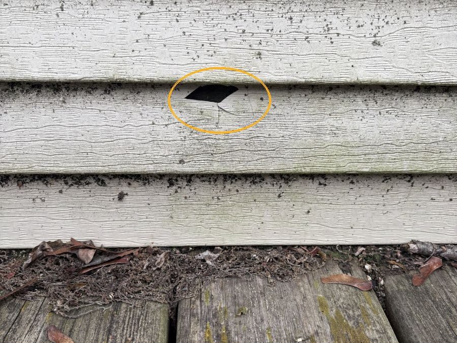 Puncture through a siding board with a crack running out of it, circled